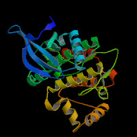 Human Gene JAK2 (ENST00000381652.4) from GENCODE V46