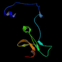 Mouse Gene Mapt (ENSMUST00000100347.11) from GENCODE VM33