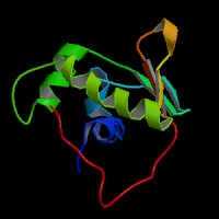 Human Gene Etv6 Uc001qzz 3 Description And Page Index