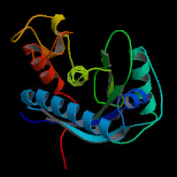 Human Gene ADAM17 (ENST00000310823.8) from GENCODE V43