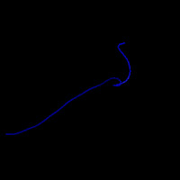 Human Gene COL11A1 (ENST00000370096.9_11) from GENCODE V45lift37