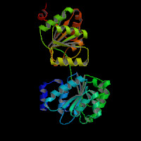 Human Gene DDX6 (ENST00000534980.7) from GENCODE V46