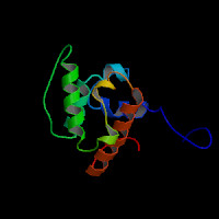 Human Gene CNN1 (uc010xmb.1)