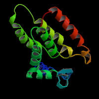 Human Gene OCA2 (uc010ayv.3)