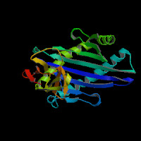 Human Gene HFE (ENST00000336625.12_1) from GENCODE V47lift37