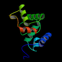 Mouse Gene Pax9 (ensmust00000153250.8) From Gencode Vm23 Comprehensive 