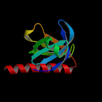 Human Gene Akt3 Uc001iab 2 Human Gene Akt3 Uc001iab 2