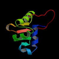 Human Gene Etv6 Uc001qzz 3 Description And Page Index