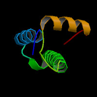 Human Gene ADAM17 (ENST00000310823.8) from GENCODE V43