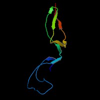 Human Gene ADAM17 (ENST00000310823.8) from GENCODE V43