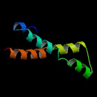 Human Gene ADAM17 (ENST00000310823.8) from GENCODE V43