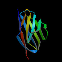 Human Gene IGKV1-39 (ENST00000498574.1) from GENCODE V46