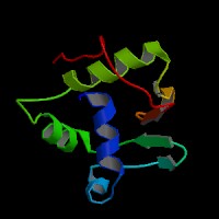 Human Gene Etv6 Uc001qzz 3 Description And Page Index