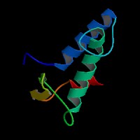 Human Gene MOGS (ENST00000448666.7) from GENCODE V44