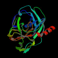 Mouse Gene Klk1b21 (ENSMUST00000085455.6) from GENCODE VM33
