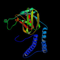 Mouse Gene mt-Co2 (ENSMUST00000082405.1) from GENCODE VM27