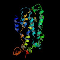 Mouse Gene Tas2r138 (ENSMUST00000076565.3) from GENCODE VM33