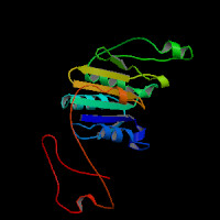 Mouse Gene Flad1 (ENSMUST00000107426.8) from GENCODE VM36