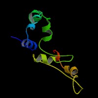 Human Gene SLC52A2 (ENST00000643944.2) from GENCODE V44