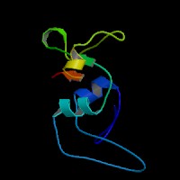 Sperm protein associated with the nucleus, X-linked, family member